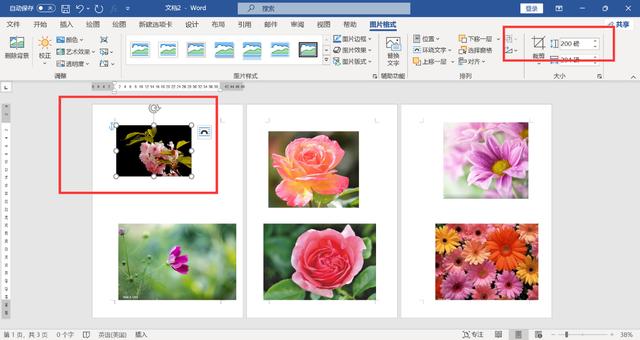 word页面怎么调整大小(WORD文档里快速调整图片的尺寸方法)(7)