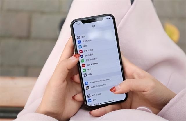 苹果手机怎么清内存（苹果手机提示内存不足清理方法）(1)