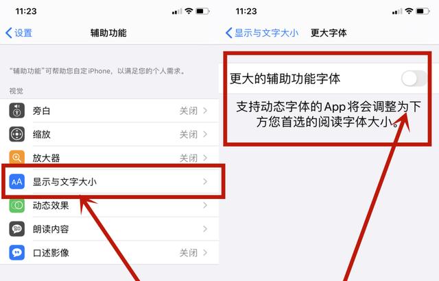 苹果手机放大镜功能在哪里（苹果手机放大镜的具体使用方法）(4)