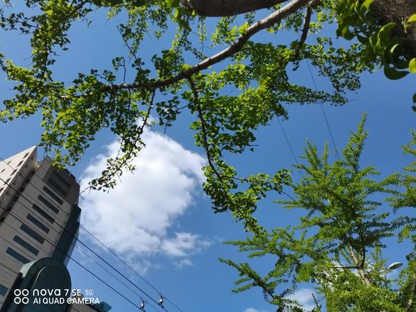nova7se参数配置（华为nova7se值得入手吗）(7)