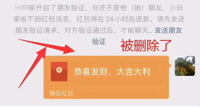 怎么看微信被拉黑还是被删除(微信被拉黑和被别人删除了的区别)(12)