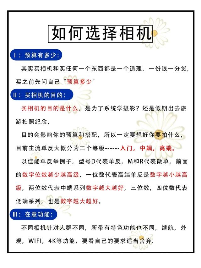 适合初学者的单反相机有哪些(适合新手的八款入门级别的相机推荐)(2)