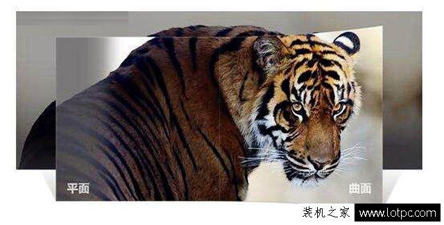 显示器曲面屏和平面屏哪个好（曲面和平面显示器的区别及优缺点）(4)