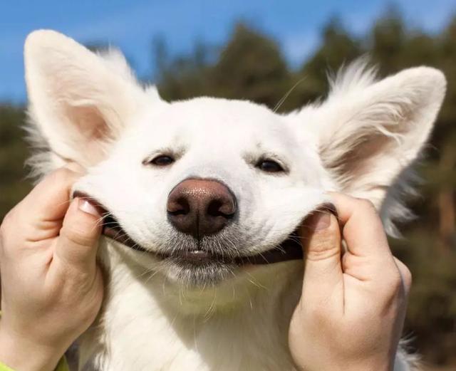 打印机乱码是什么原因（电脑打印乱码的解决方法）(2)