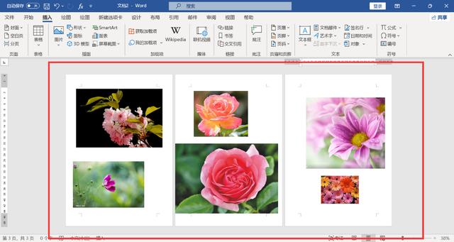 word页面怎么调整大小(WORD文档里快速调整图片的尺寸方法)(2)