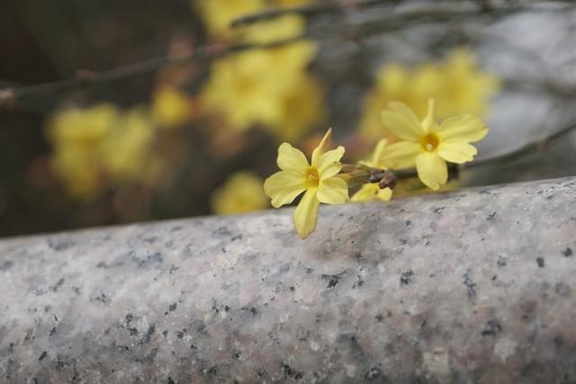 富士xt4参数配置(富士X-T4无反相机评测)(24)