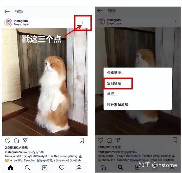 ins图片怎么保存（2022最新ins存图免费教程）(2)