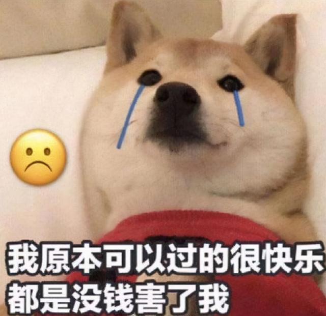 iphone13合约机划算吗（2022年合约机还值得入手吗）(6)
