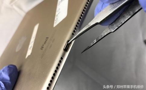 ipad黑屏无法唤醒怎么办（ipad无法充电不开机解决办法）(5)