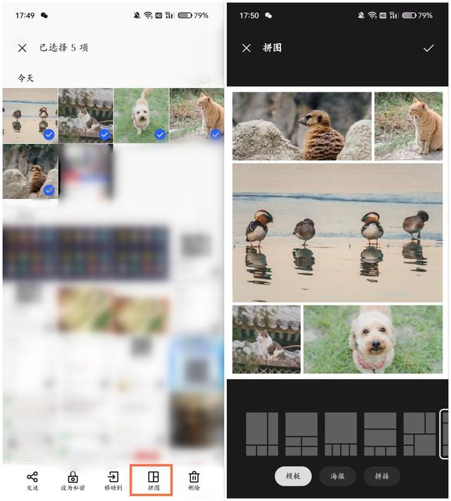 合成照片怎么制作（快速将多张照片合并成一张的方法）(7)