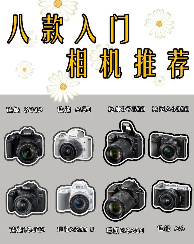 适合初学者的单反相机有哪些(适合新手的八款入门级别的相机推荐)(1)