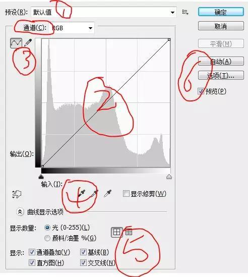 ps如何画曲线(教你玩转PS曲线工具)(1)