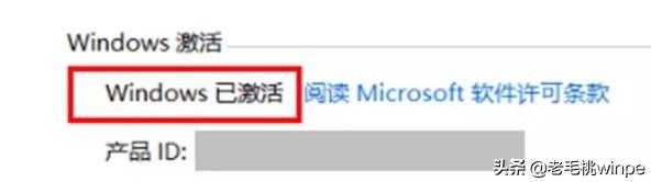 怎么激活office（office激活最简单的方法）(3)