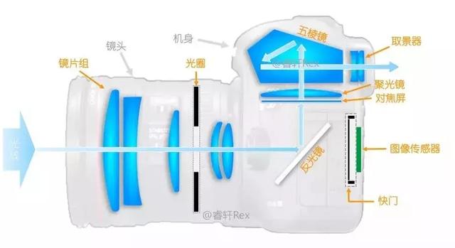 单反和无反的区别是什么（微单与单反的区别图解）(2)