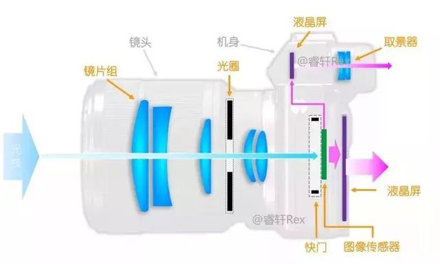 单反和无反的区别是什么（微单与单反的区别图解）(3)
