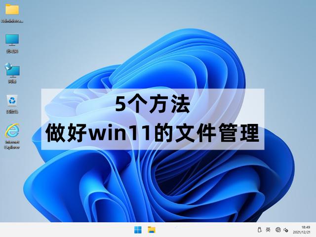 文件管理在哪里找（win11?文件管理的技巧与方法）(1)
