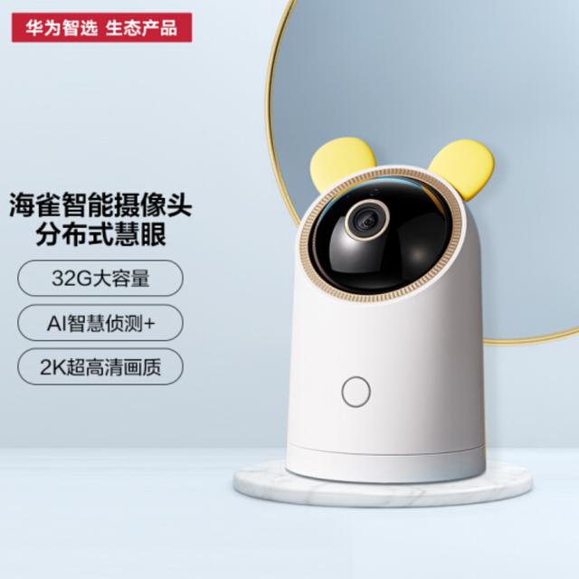 摄像头品牌前十名（什么牌子的摄像头好用又实惠）(4)