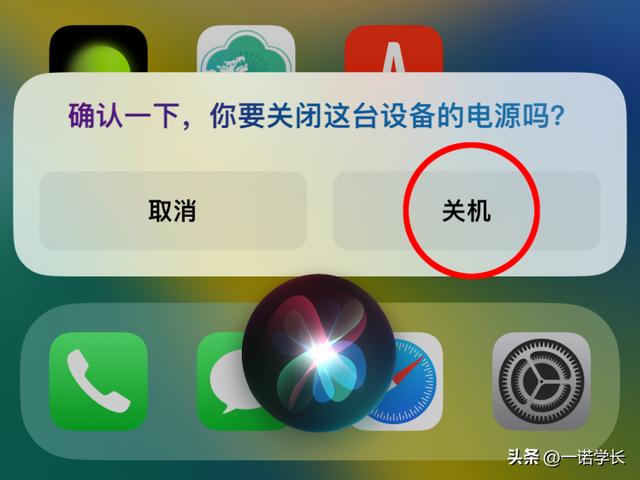 iphone无法关机怎么办（苹果手机长按电源键无法关机解决方法）(5)
