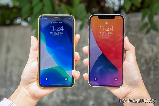 苹果手机换机数据怎么导入新手机（iphone换机转移数据最快方法）(1)