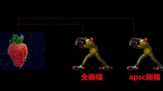 apsc和全画幅的区别有多大(全幅相机和apsc画幅哪个好)(2)