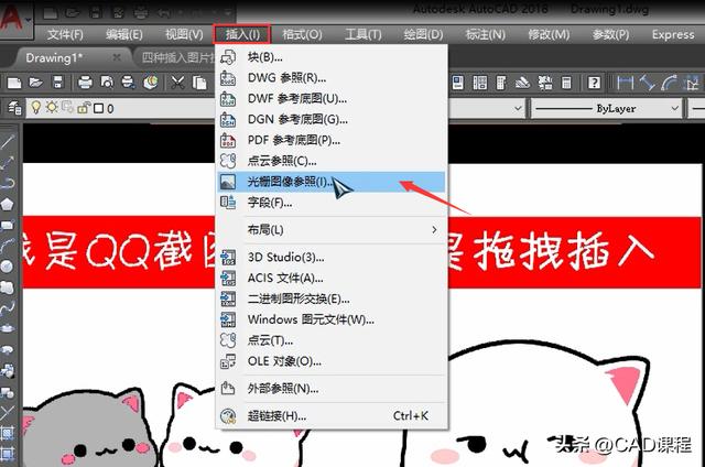 cad怎么放图片进去(cad 图片插入四种办法)(4)
