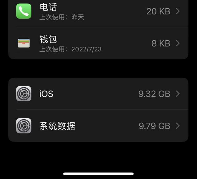 苹果手机怎么清内存（苹果手机提示内存不足清理方法）(3)