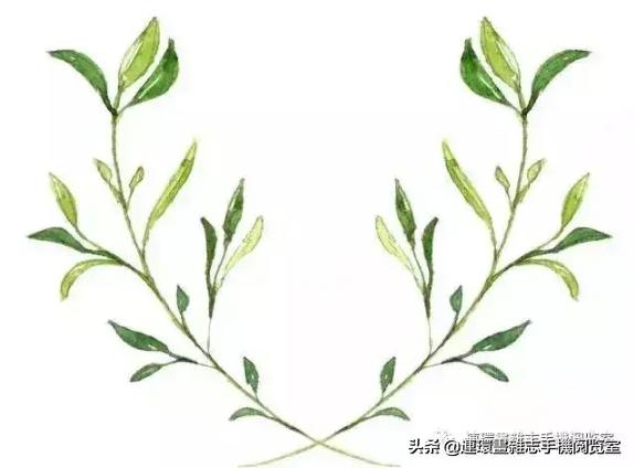 用五笔怎么打（五笔输入法操作方法）(1)