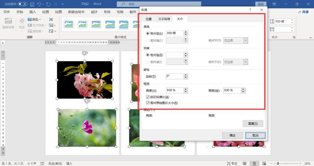 word页面怎么调整大小(WORD文档里快速调整图片的尺寸方法)(6)