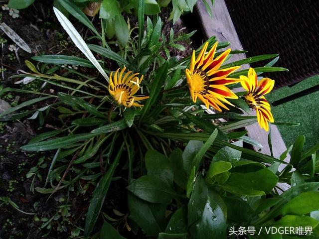 荣耀畅玩平板2参数配置(荣耀畅玩平板2值得入手吗)(28)