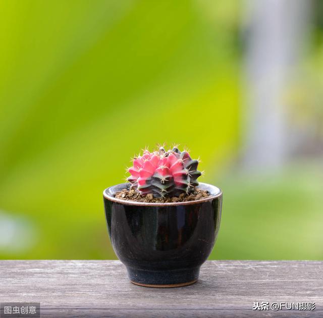 相机怎么拍视频(单反相机拍摄8个实用技巧)(5)