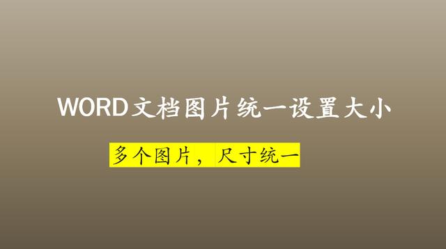 word页面怎么调整大小(WORD文档里快速调整图片的尺寸方法)(1)