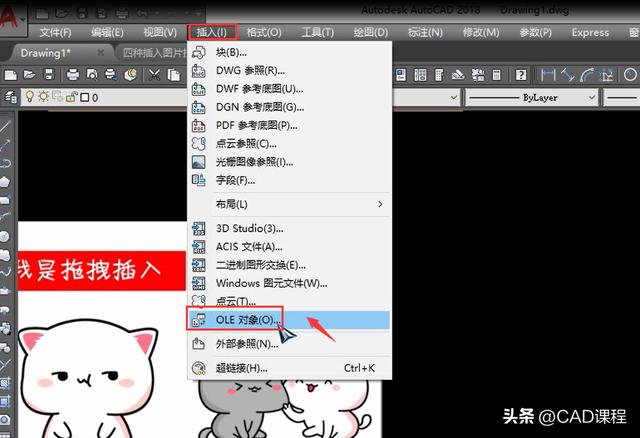 cad怎么放图片进去(cad 图片插入四种办法)(6)