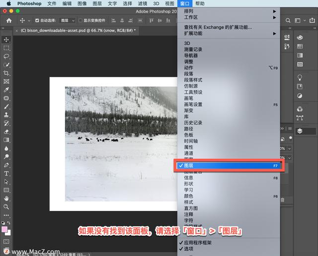 ps两张图片合成教程（ps如何将两张图片合成一起）(3)