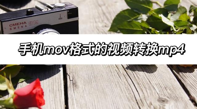 如何将手机视频转为mp4（mov视频转换mp4最简单方法）(1)