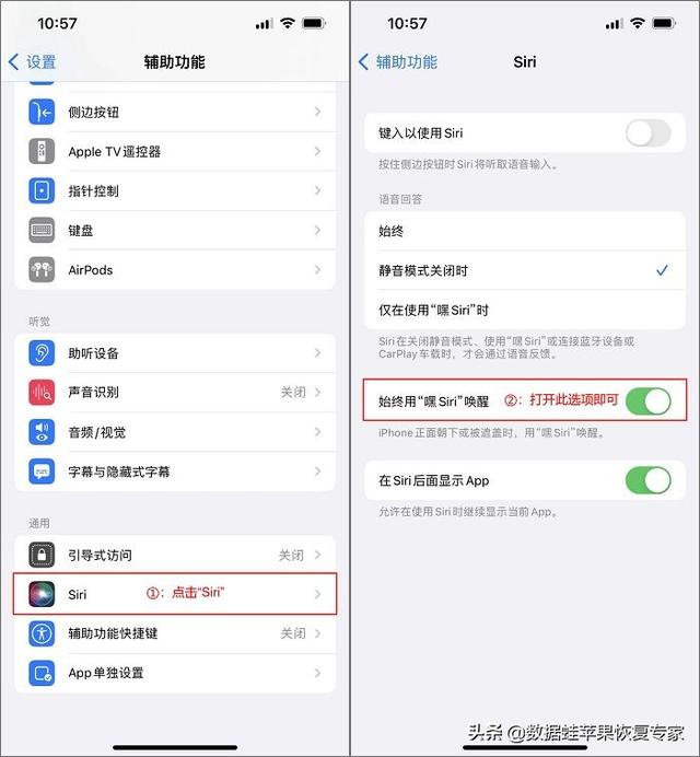 苹果手机siri怎么唤醒不了（为什么我的苹果手机唤醒不了siri）(2)