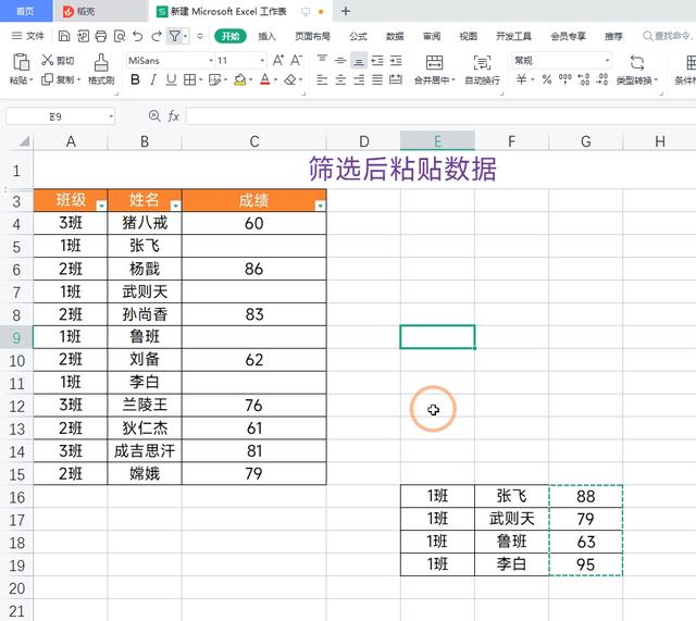 wps筛选怎么操作（wps如何粘贴筛选后的数据）(2)