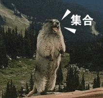 word文档怎么大批量删除（Word里经常有删不掉的东西解决方法）(1)