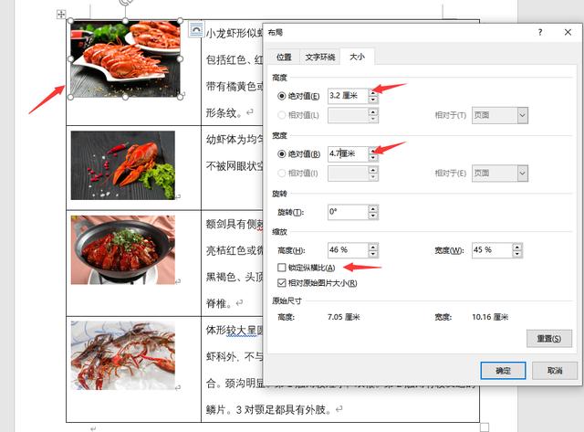 word图片怎么排版整齐(word图文混排技巧大全)(6)