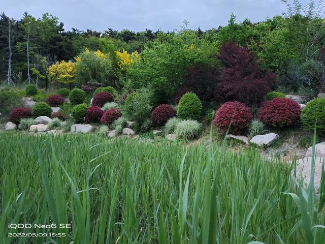 iqooneo6se怎么样（iQOO Neo6 SE详细评测）(27)