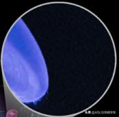 oled和ips屏幕哪个好（显示器oled和ips屏幕怎么选）(4)