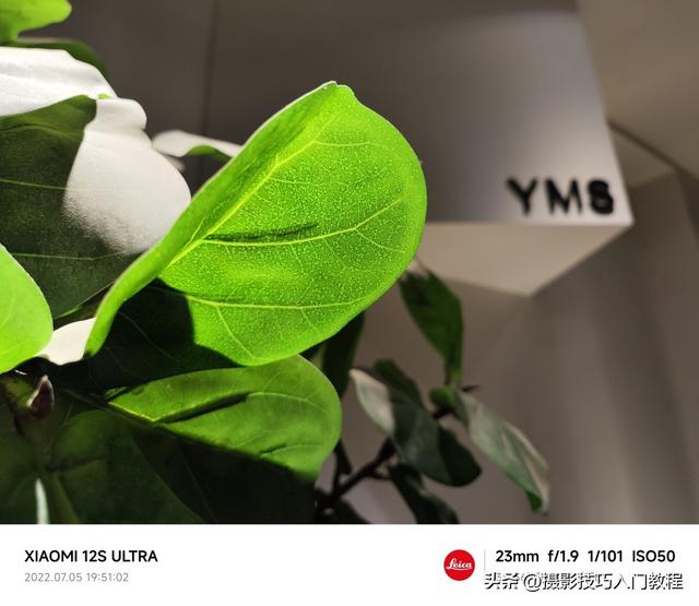 如何加水印在图片上面（给照片加水印的详细操作方法）(1)