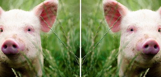 ps常用命令快捷键有哪些（50个非常实用的PS快捷键命令大全）(13)