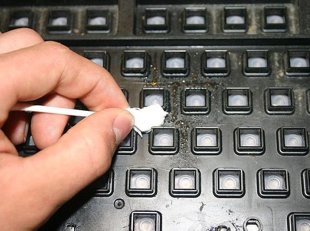 键盘怎么清洗（清理键盘油渍好技巧）(4)