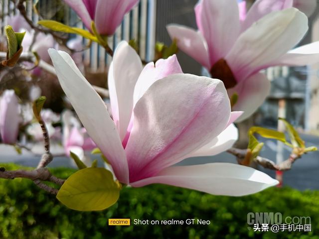 真我gtneo参数配置（realme真我gtneo2t天玑1200测评）(16)