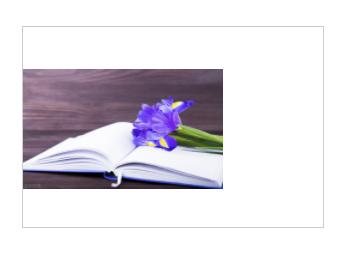 垂直居中怎么设置（垂直居中的方法和技巧）(3)