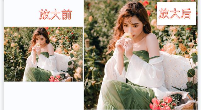 如何把图片变清晰变大（处理照片大小的最简单方法）(6)