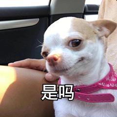 手机能压缩文件吗（手机压缩文件最简单的方法）(1)