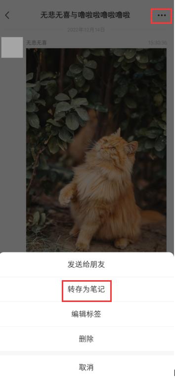 怎样在手机上拼图合成（手机拼图的操作小技巧）(3)