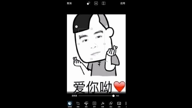 如何自制表情包（超级简单的表情包制作方法）(9)