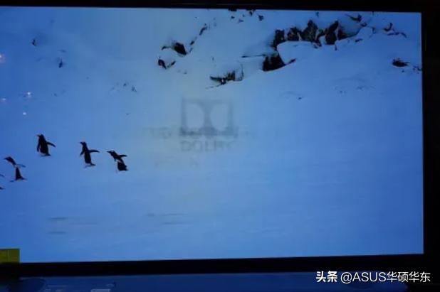 oled和ips屏幕哪个好（显示器oled和ips屏幕怎么选）(6)